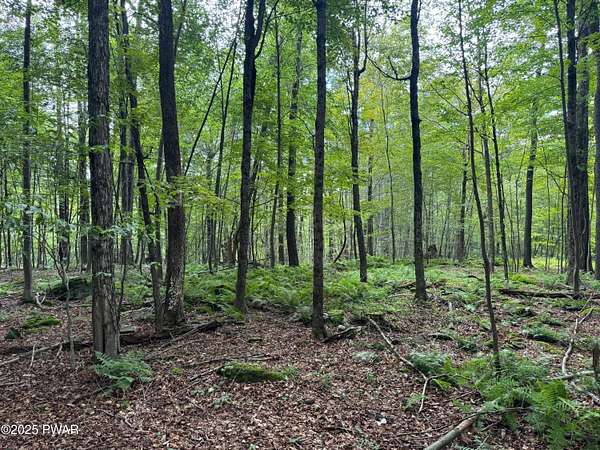 2 Acres of Residential Land for Sale in Honesdale, Pennsylvania