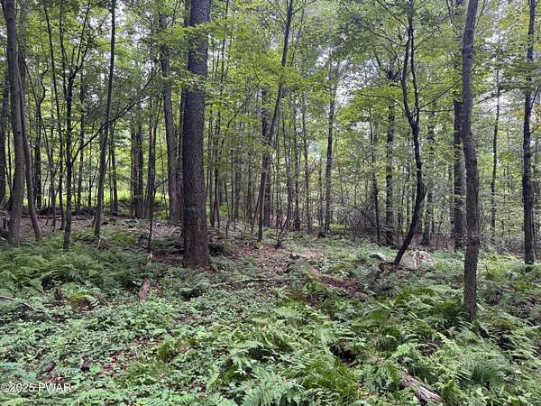 2 Acres of Residential Land for Sale in Honesdale, Pennsylvania