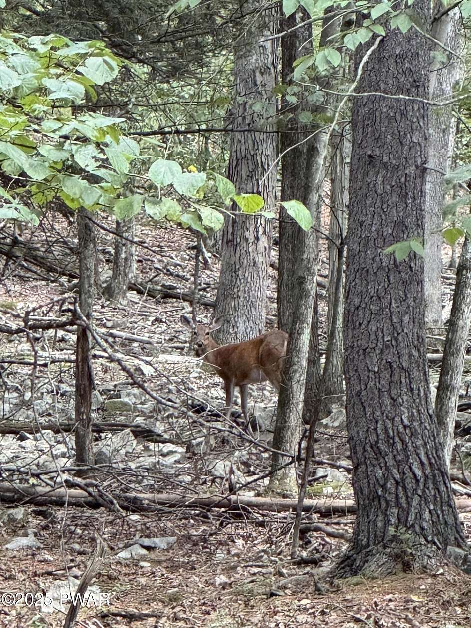 1.47 Acres of Residential Land for Sale in Hawley, Pennsylvania