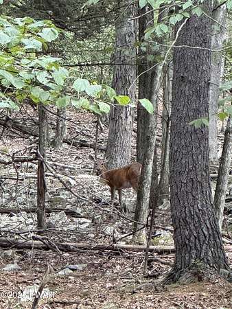 1.47 Acres of Residential Land for Sale in Hawley, Pennsylvania