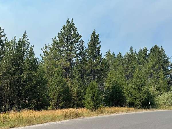 0.31 Acres of Land for Sale in Donnelly, Idaho