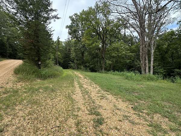 16.6 Acres of Land for Sale in Houston, Mississippi