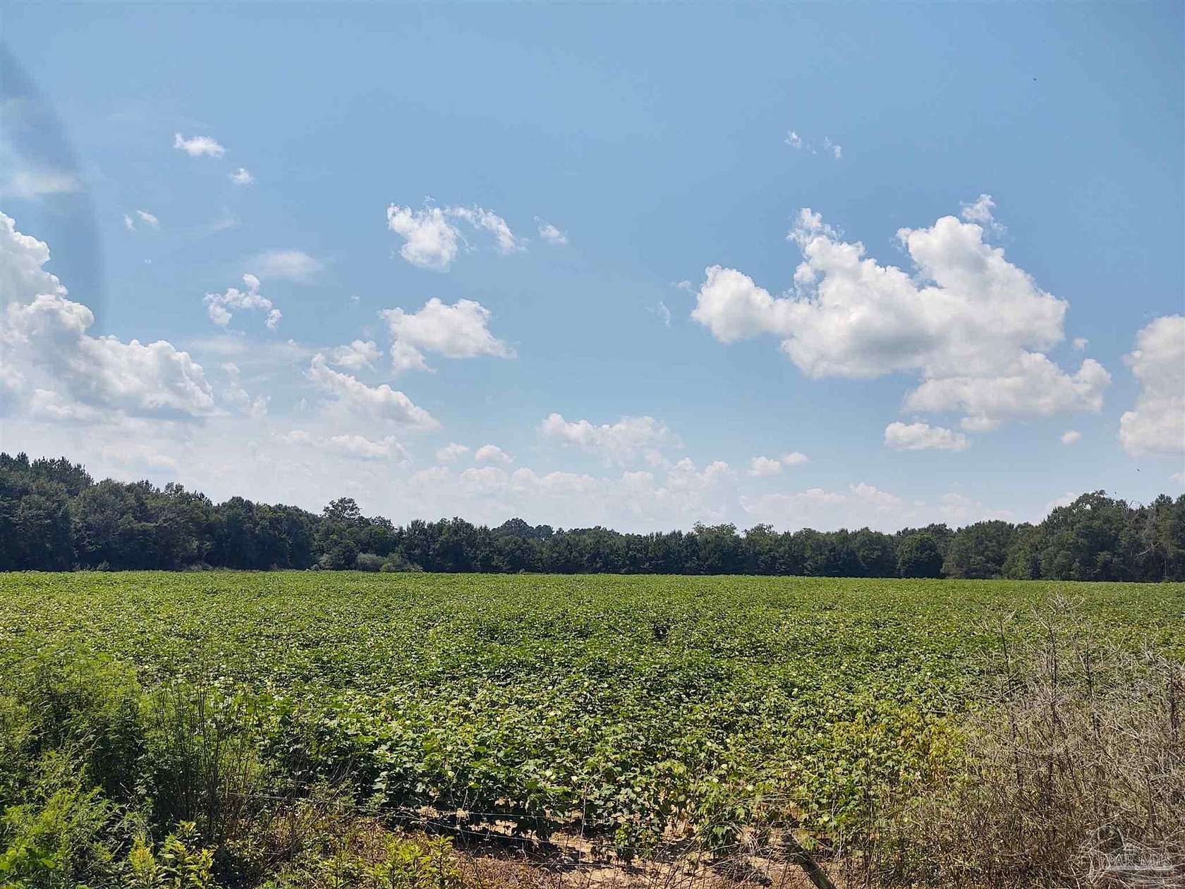 40 Acres of Land for Sale in Milton, Florida
