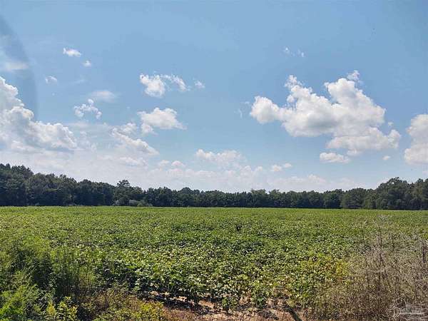 40 Acres of Land for Sale in Milton, Florida