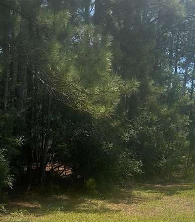 18.8 Acres of Land for Sale in Perkinston, Mississippi