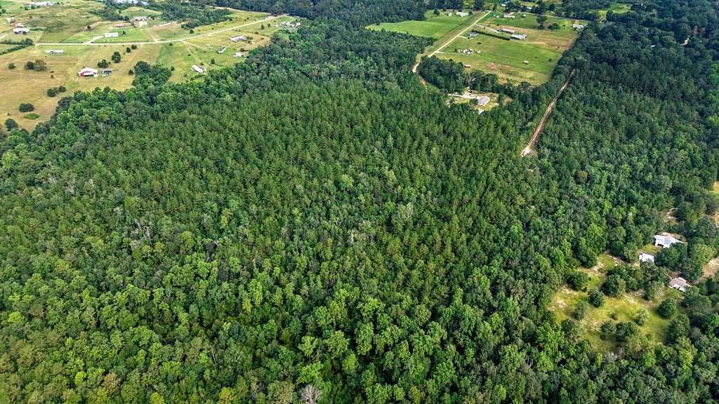 20 Acres of Land for Sale in Poplarville, Mississippi