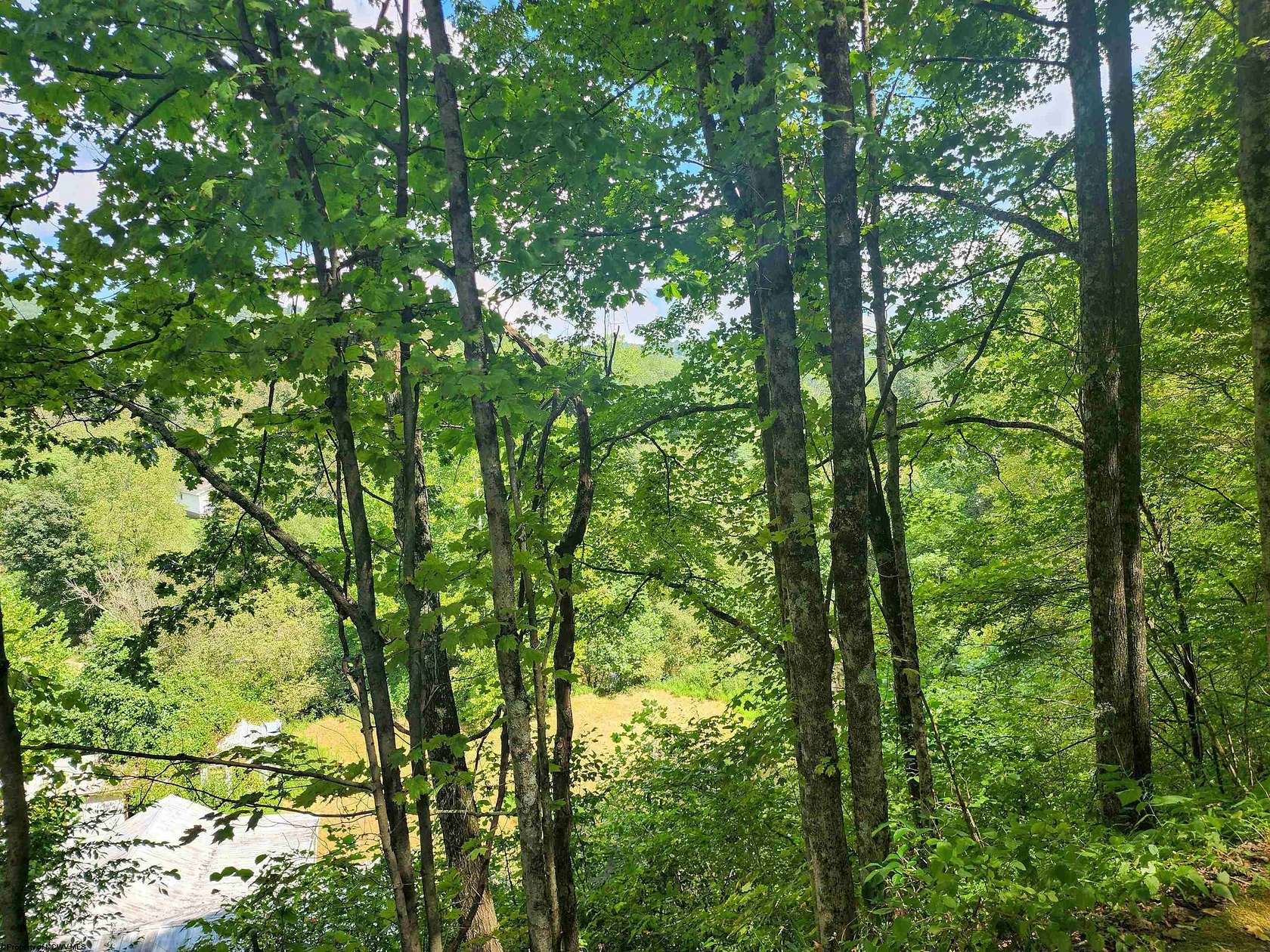 17.5 Acres of Recreational & Residential Land for Sale in Wallace, West Virginia