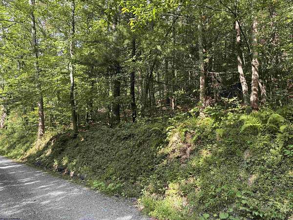 5 Acres of Residential Land for Sale in Newburg, West Virginia