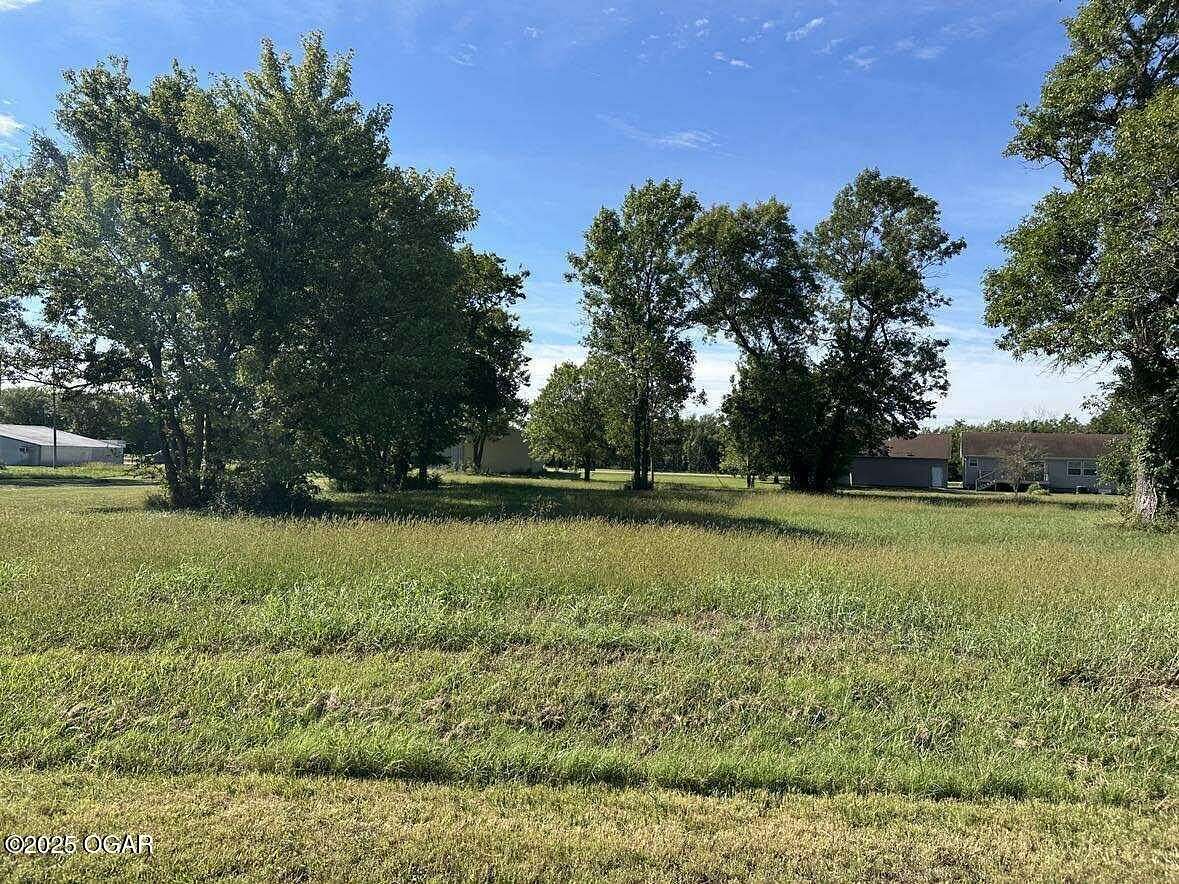 0.38 Acres of Land for Sale in West Mineral, Kansas