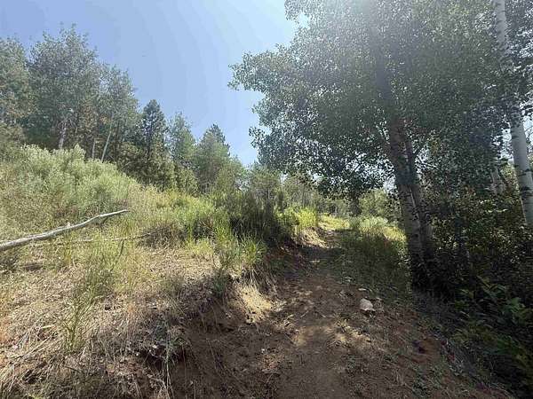 0.3 Acres of Land for Sale in Portola, California