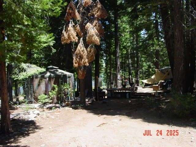 139 Acres of Recreational Land for Sale in Clio, California