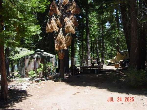 139 Acres of Recreational Land for Sale in Clio, California