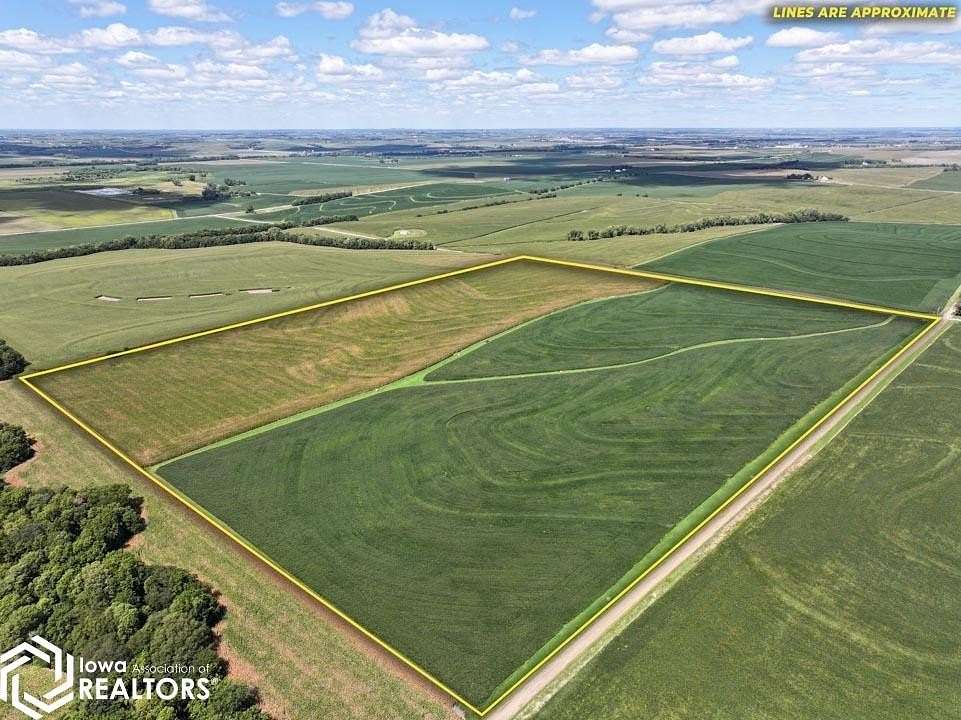 97 Acres of Agricultural Land for Auction in Randolph, Iowa