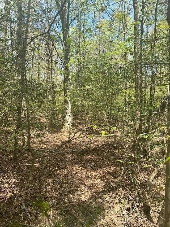 1.1 Acres of Residential Land for Sale in Ellijay, Georgia