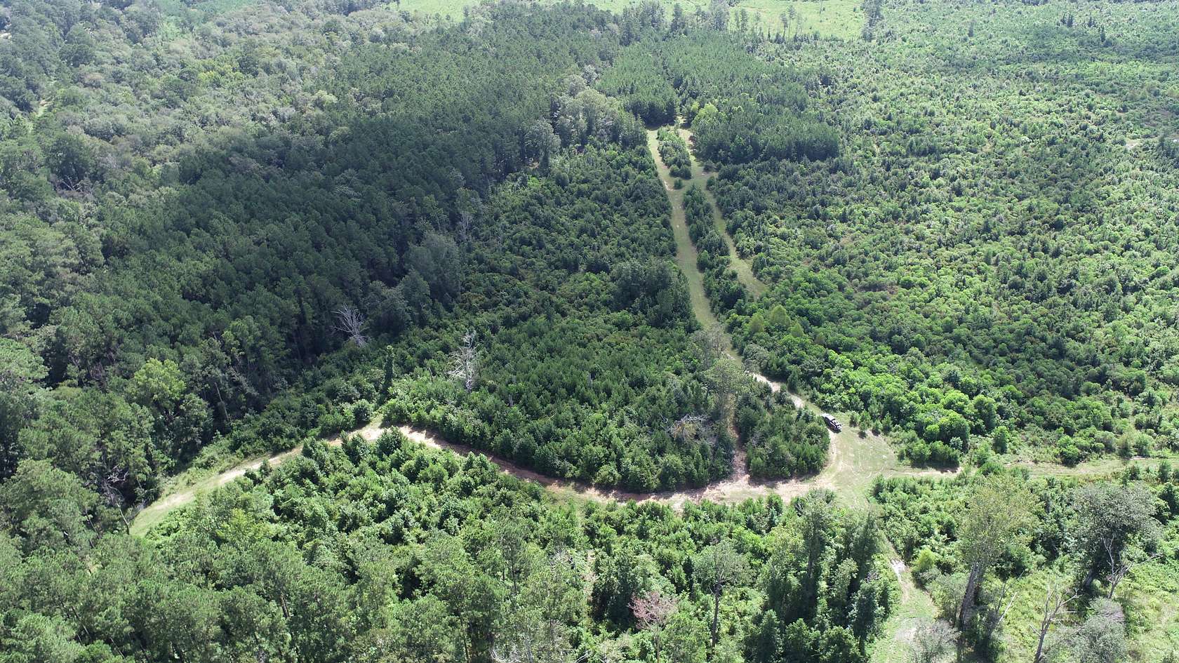 138 Acres of Recreational Land for Sale in Burkeville, Texas