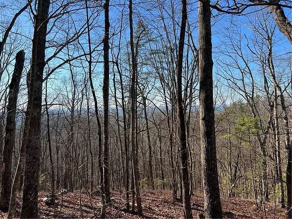 2.25 Acres of Land for Sale in Ranger, Georgia