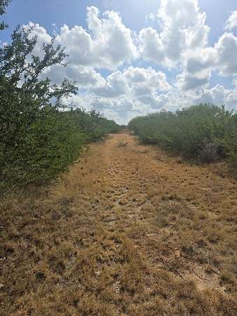 11.2 Acres of Land for Sale in Alice, Texas