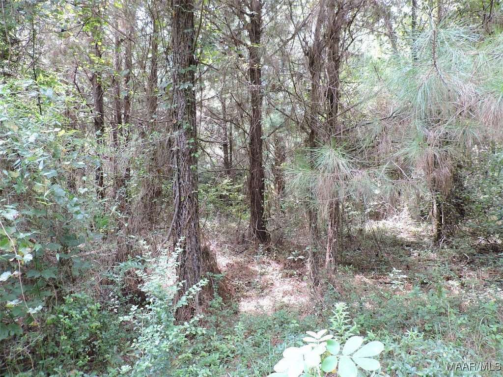 70 Acres of Recreational Land for Sale in Greenville, Alabama