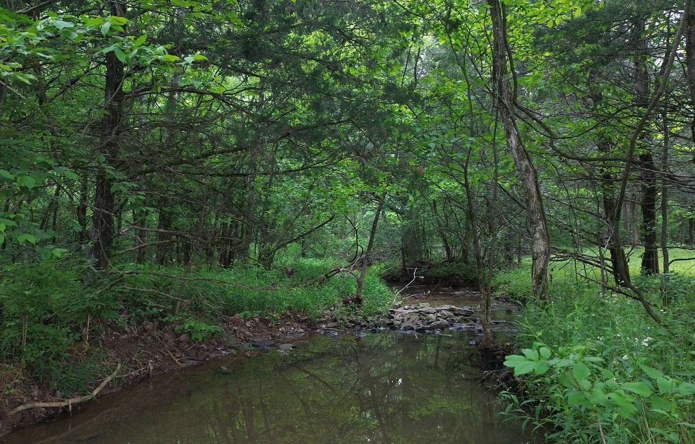 5 Acres of Land for Sale in Columbia, Tennessee