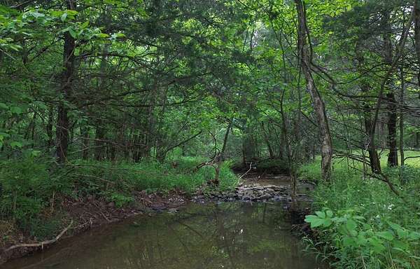 5 Acres of Land for Sale in Columbia, Tennessee