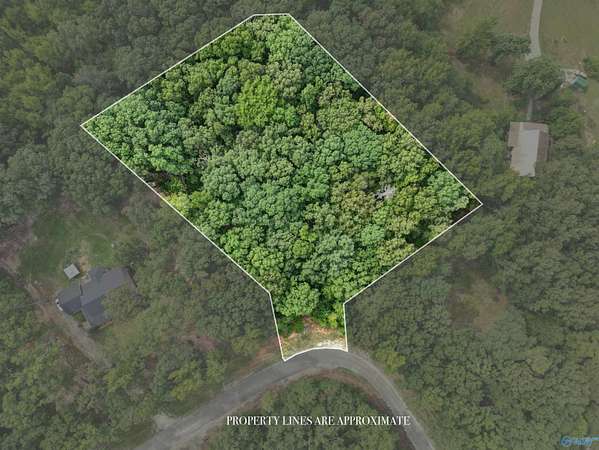 1.3 Acres of Residential Land for Sale in Trinity, Alabama