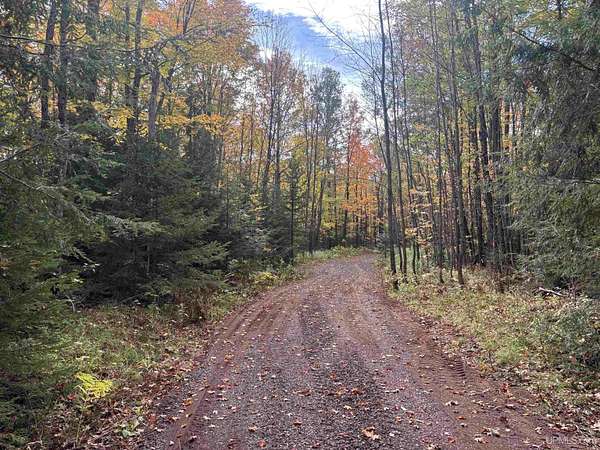 19 Acres of Recreational Land for Sale in Ironwood, Michigan