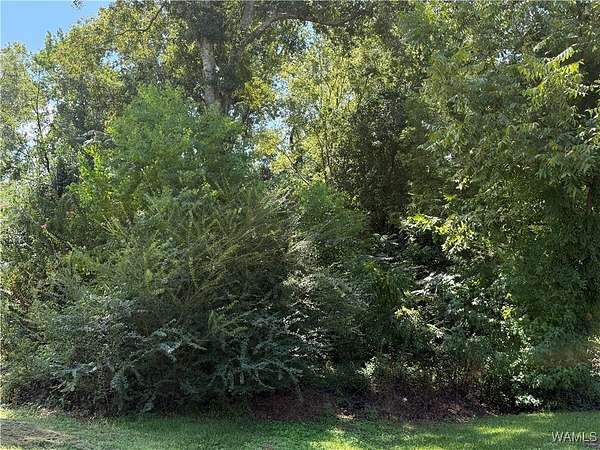 0.8 Acres of Land for Sale in Tuscaloosa, Alabama