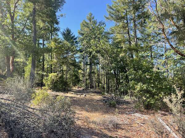 80.5 Acres of Recreational Land & Farm for Sale in Eagle Point, Oregon