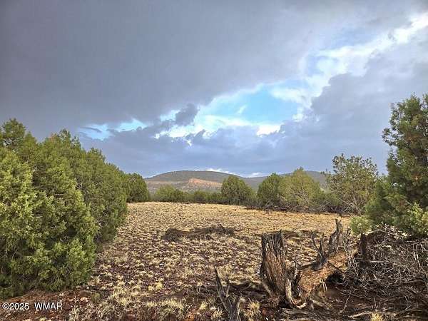 36.1 Acres of Recreational Land for Sale in Concho, Arizona