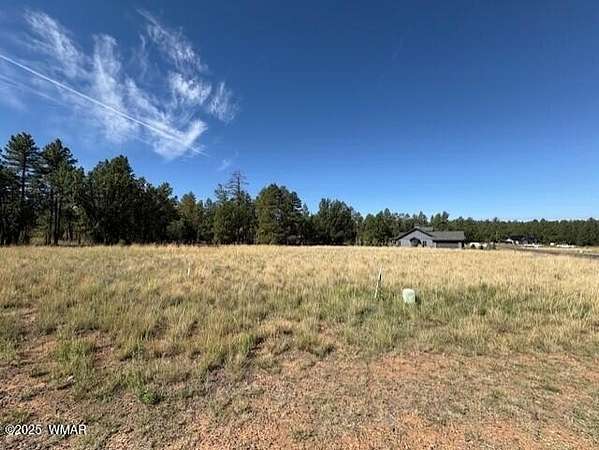 0.39 Acres of Residential Land for Sale in Show Low, Arizona