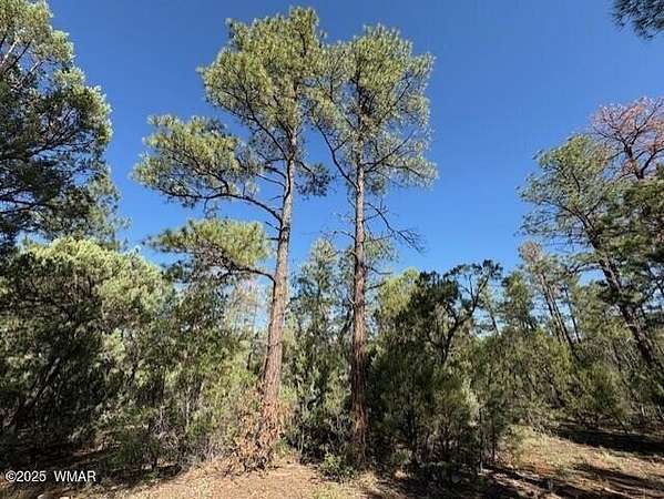 0.5 Acres of Residential Land for Sale in Show Low, Arizona