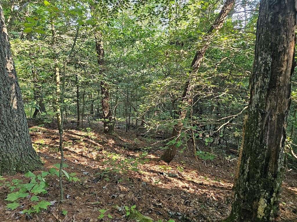 1.15 Acres of Residential Land for Sale in Ellijay, Georgia