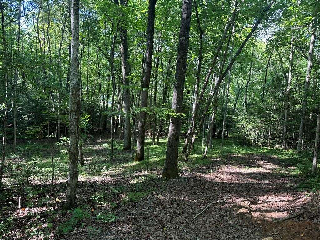 2 Acres of Land for Sale in Blairsville, Georgia