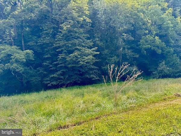 81.5 Acres of Land for Sale in Petersburg, West Virginia