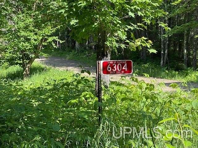 0.92 Acres of Residential Land for Sale in Florence Town, Wisconsin
