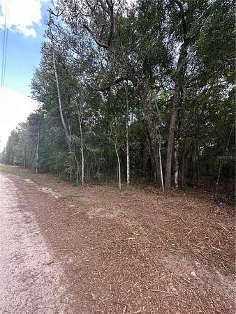 0.5 Acres of Residential Land for Sale in Fort McCoy, Florida