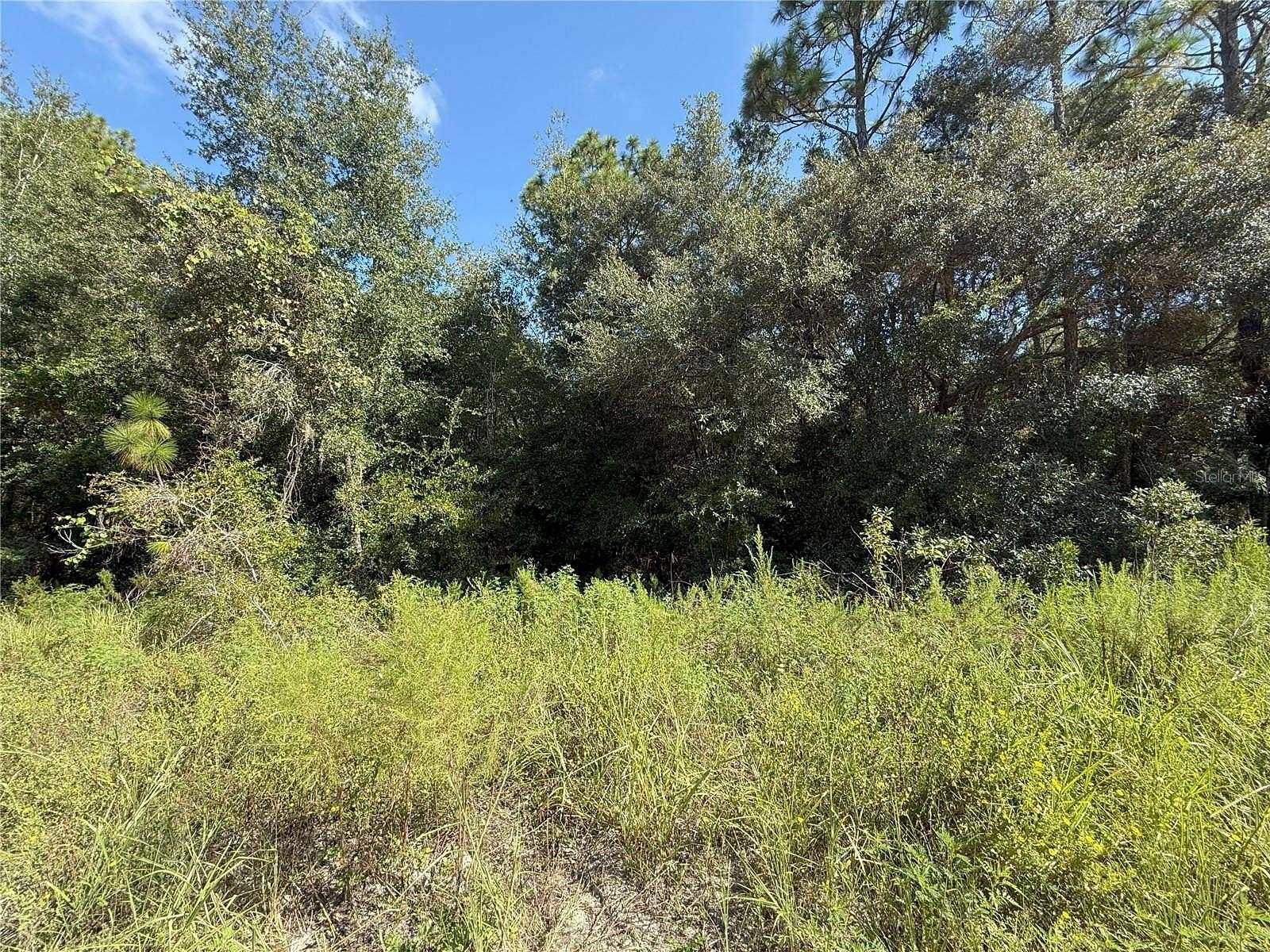 0.9 Acres of Land for Sale in Dunnellon, Florida
