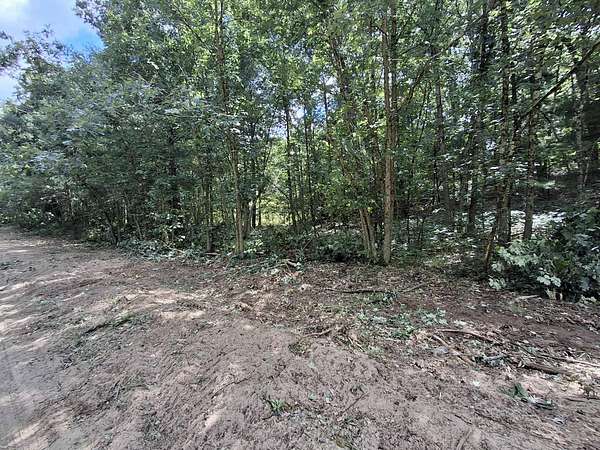 0.46 Acres of Residential Land for Sale in Allegan, Michigan