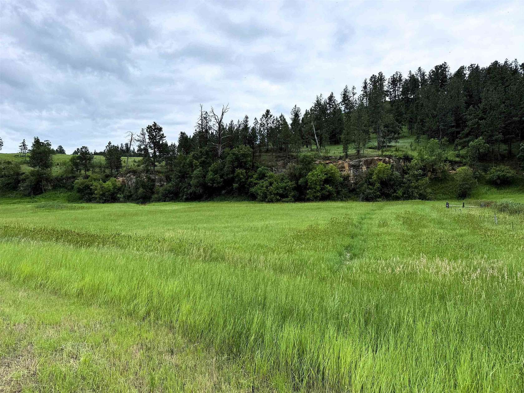 36.1 Acres of Agricultural Land for Sale in Hulett, Wyoming