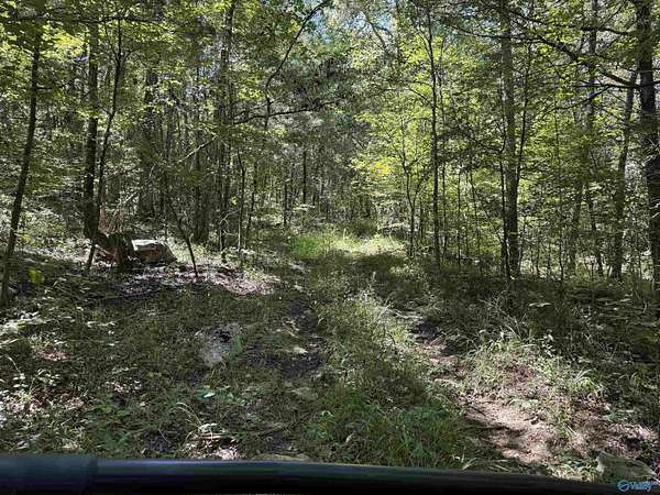 90 Acres of Recreational Land for Sale in Woodville, Alabama
