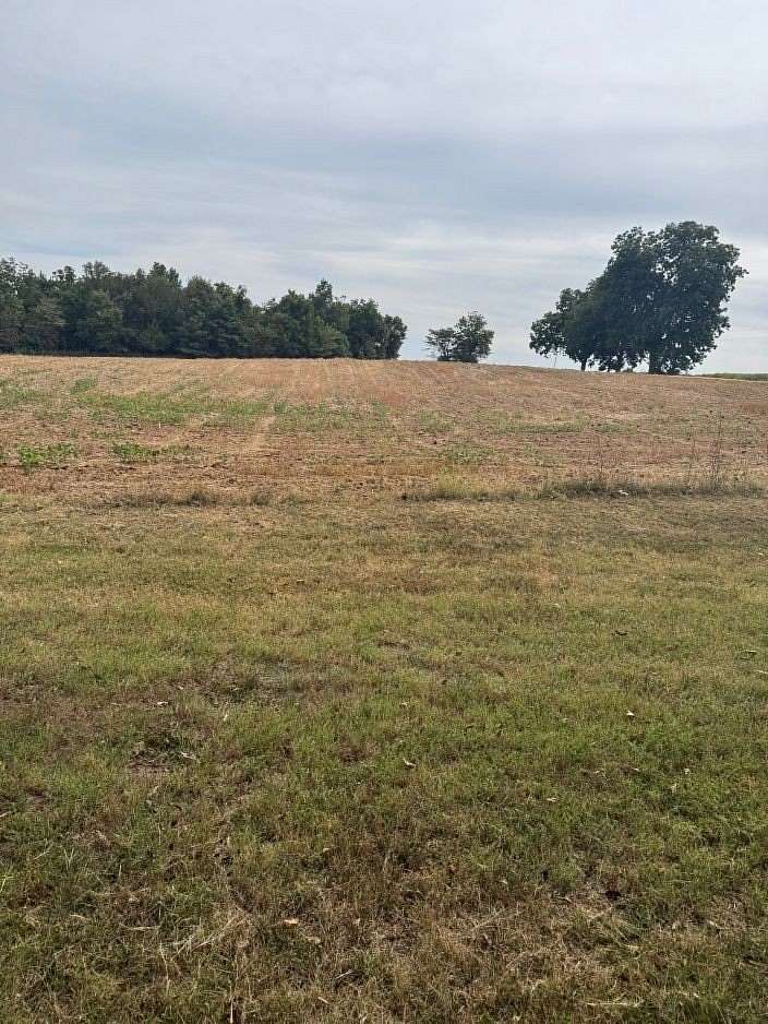 39.2 Acres of Recreational Land with Home for Sale in Dexter, Missouri