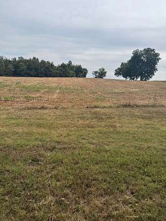 39.2 Acres of Recreational Land with Home for Sale in Dexter, Missouri