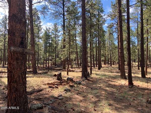 1 Acre of Land for Sale in Springerville, Arizona
