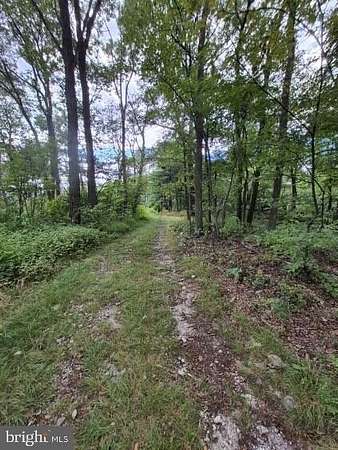 60.8 Acres of Recreational Land for Auction in Halifax, Pennsylvania