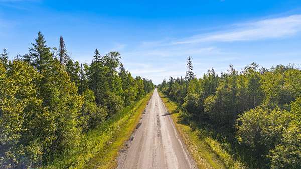 38.5 Acres of Recreational Land for Sale in Carp Lake, Michigan