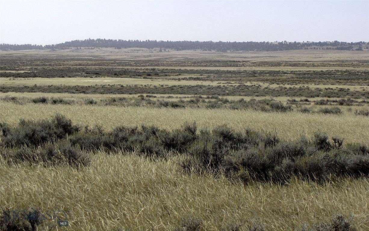 80 Acres of Agricultural Land for Sale in Shepherd, Montana