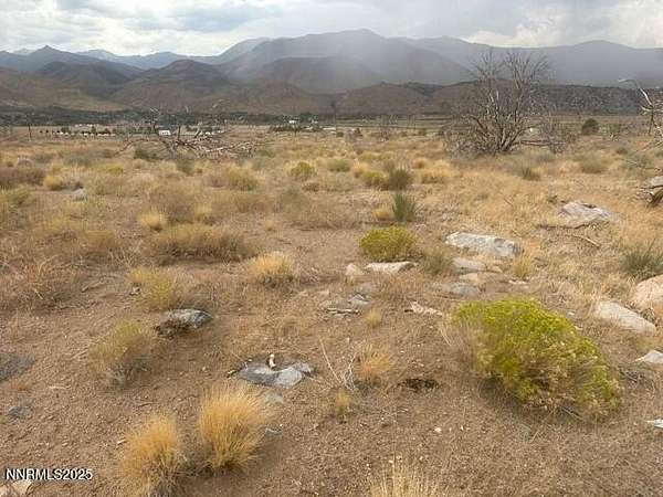 19 Acres of Recreational Land for Sale in Coleville, California