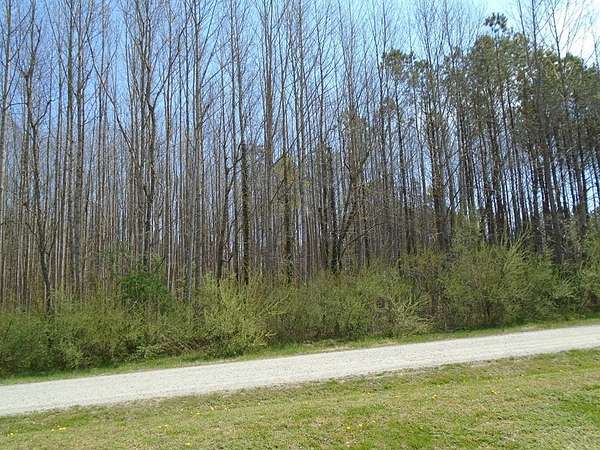 2.68 Acres of Residential Land for Sale in Heathsville, Virginia