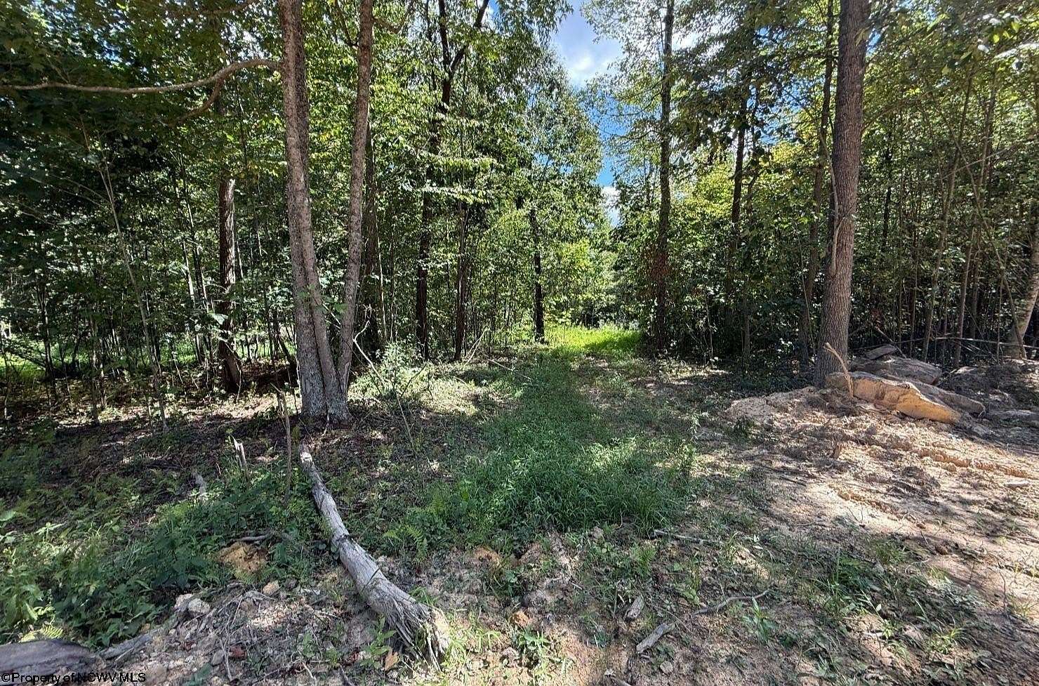 1.34 Acres of Residential Land for Sale in Moatsville, West Virginia