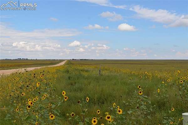 39.8 Acres of Land for Sale in Rush, Colorado